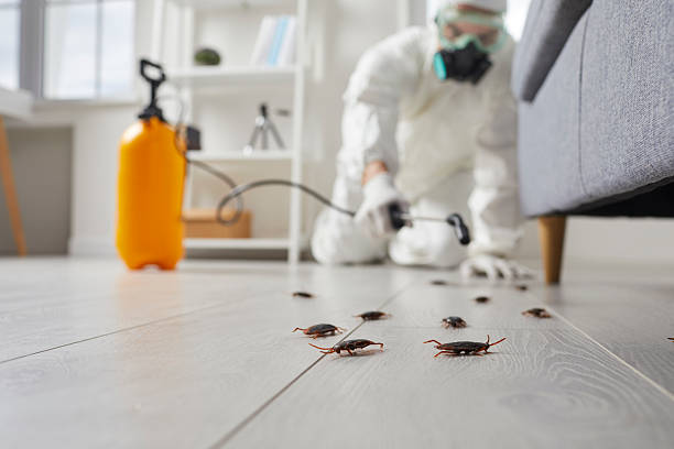 Trusted Cockroach Control service in Bent Creek, NC - Nex Pest Control